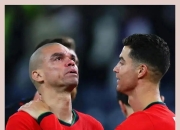 关于接连受罚球员陷入风波，球队受挫反弹的信息